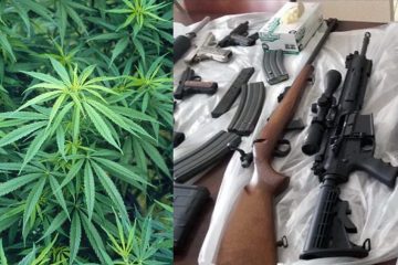 Marijuana-guns
